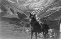 Foto: Narvik komm. fotosamling