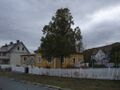Foto 2008